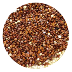 beta glucan